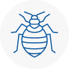 Bed Bug Extermination In St Neots