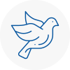 Bird Prevention St Neots