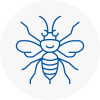St Neots Hornet Nest Removals