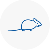 Mice Exterminators In St Neots