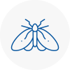 Moth Control Specialists In St Neots