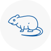 Rat Control St Neots