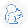 St Neots Rodent Removals